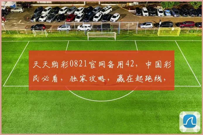 天天购彩0821官网备用42，中国彩民必看，独家攻略，赢在起跑线，三重惊喜等你来