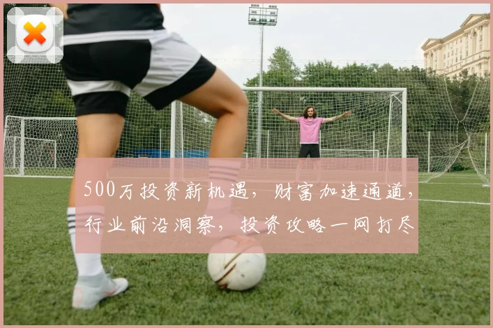500万投资新机遇，财富加速通道，行业前沿洞察，投资攻略一网打尽，赢在起跑线